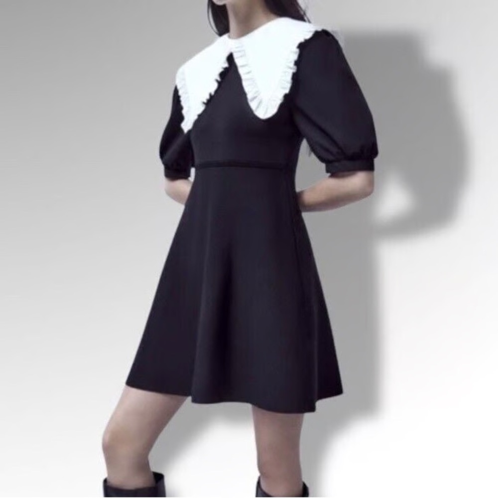 Zara Black Mini Dress with White Ruffled Peter Pan Collar